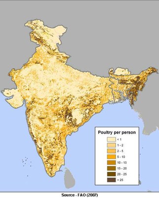 poultry-per-person-in-India