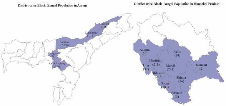 district-wise-BB-in-assamhimachalpradesh