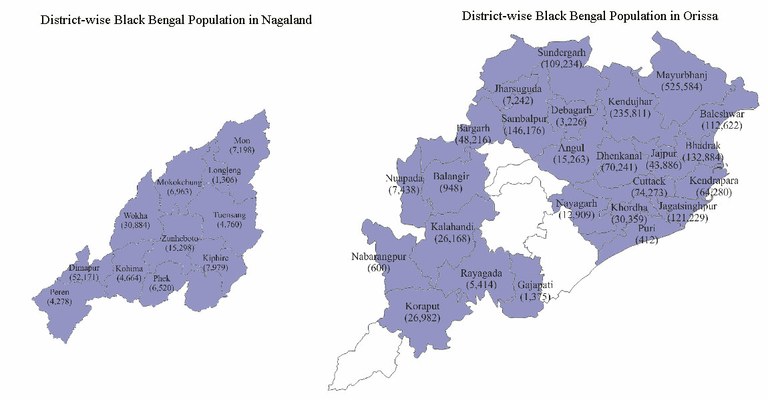 districtwise-BB-in-nagalandorissa