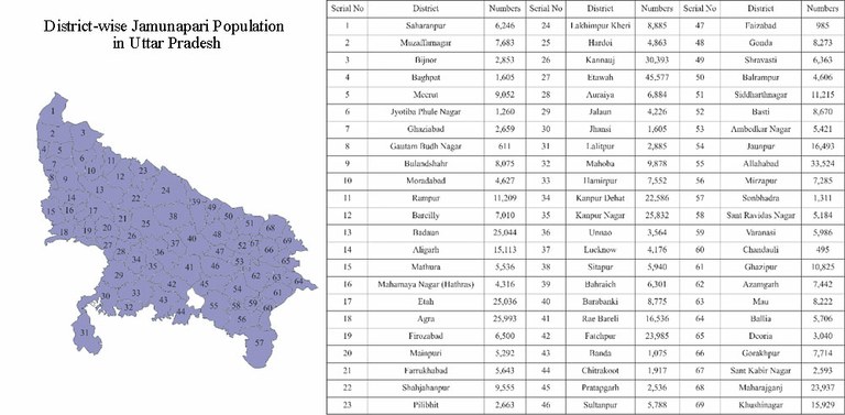 districtwise-Jamunapari-UP