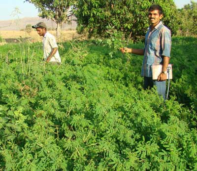 sandeep-in-field