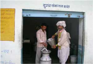 Nangaram-selling-milk