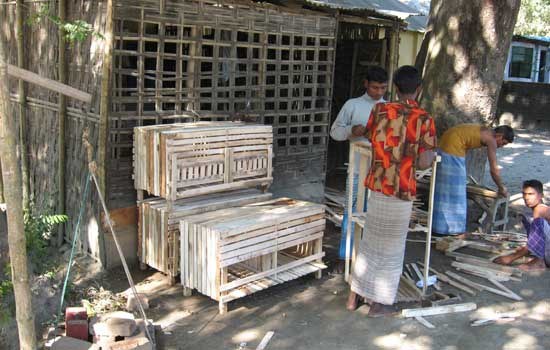Wooden poultry sheds enhancing the livelihoods of poultry keepers and carpenters