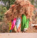Women carrying fodder