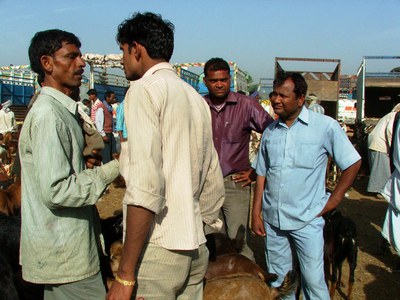 Buyers and sellers negotiating and agreeing on the sale price of animals.