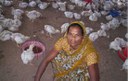 Sukritbai Chautele’s successful poultry enterprise is an inspiration to her family and neighbours